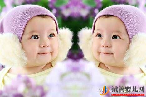 染色體異常通過泰國試管嬰兒獲得健康的寶寶,(圖1)