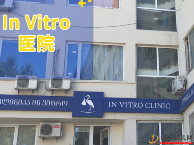格魯吉亞invitro醫(yī)院有沒有推薦的生殖醫(yī)生？(圖3)