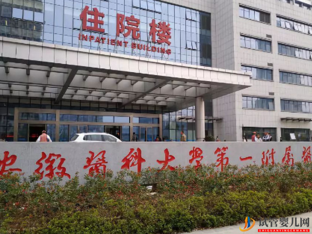 安醫附院試管嬰兒全過程費用估算，助孕成功率參考(圖1)
