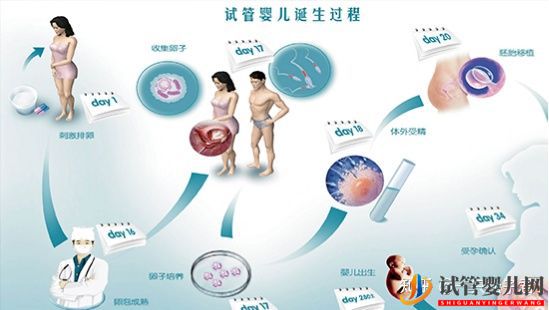 同性試管嬰兒下來怎么辦理戶口Les生孩子需要哪些(圖3)