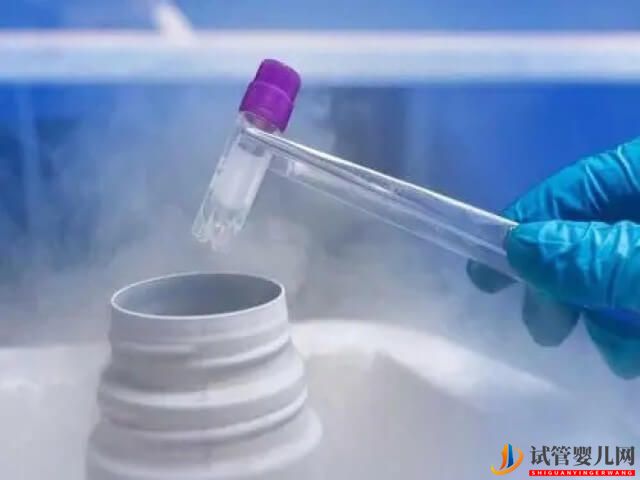 試管胚胎在-196℃的氮液中是怎么保存的？(圖1)