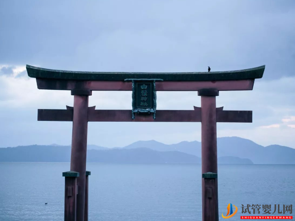 日本英醫(yī)院做試管的詳情收費(fèi)，明細(xì)都在這兒！(圖2)