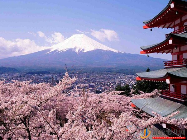 日本卵子冷凍時間不受限制、技術發達、費用較其他國家更經濟(圖2)