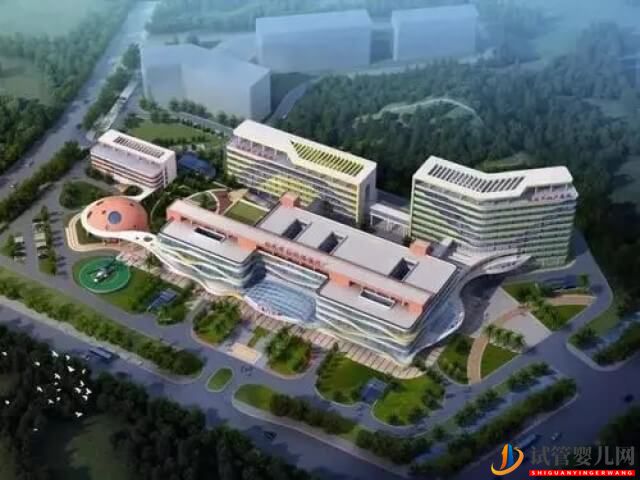 滄州二院做試管凍胚移植的成功率怎么樣？(圖1)