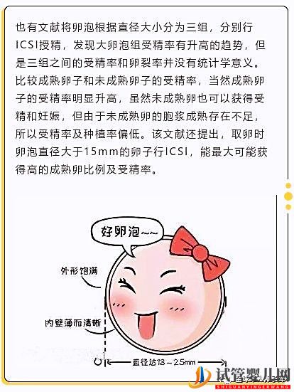 卵泡大小和試管成功率有關系嗎？大卵泡是不是越多越好？(圖2)