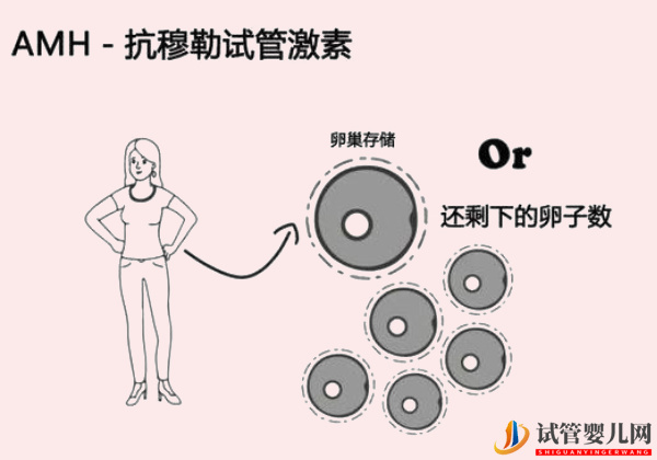amh值0.05想懷孕你得這么做(圖1)