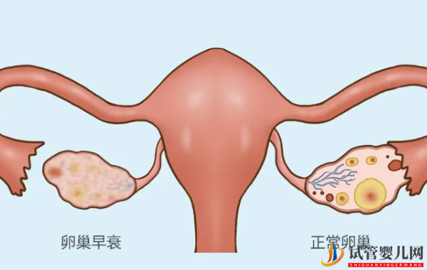 amh值0.15還沒絕經就能取卵助孕(圖1)