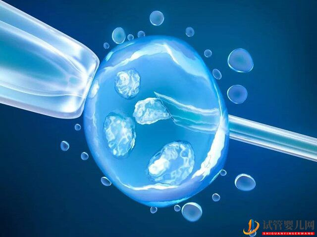 試管嬰兒取卵標準中卵泡最小直徑為多大mm？(圖1)