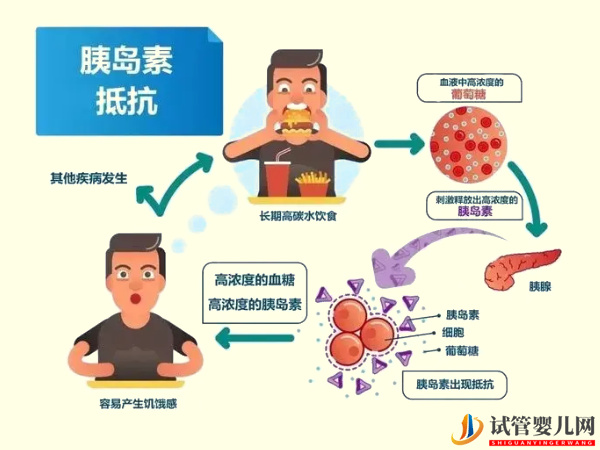 胰島素抵抗與著床無直接關系？(圖2)