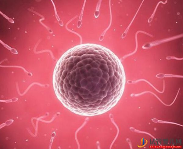 國內(nèi)精子庫精子做試管費(fèi)用明細(xì)(圖1)