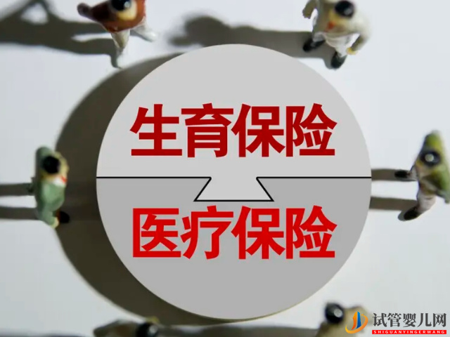 武漢生育獎勵假、陪產(chǎn)假匯總(圖3)