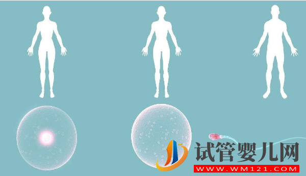 43歲高齡做試管成功真實案例分享，做好這些準備并不難(圖1)