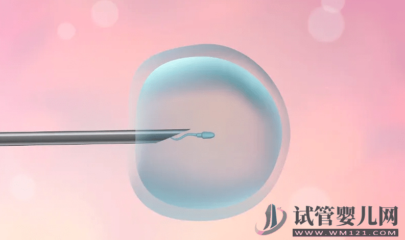 試管嬰兒和普通嬰兒有什么不同？(圖2)