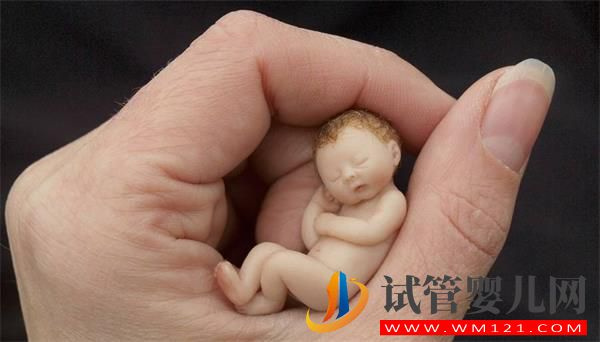 t卵p懷跟p有血緣關(guān)系嗎？(圖1)