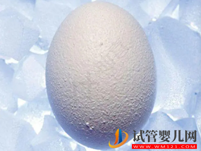 卵子儲(chǔ)存和胚胎儲(chǔ)存別混為一談，作用和適合人群都不同(圖4)