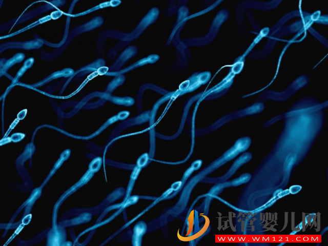 男性不育癥精子dna碎片檢測費用明細，不同醫院收費標準不等(圖1)