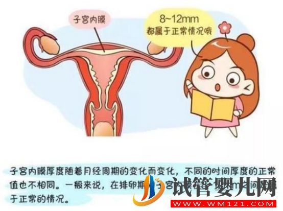試管嬰兒移植前如何選擇內(nèi)膜準備方案各方案有哪些優(yōu)點(圖1)