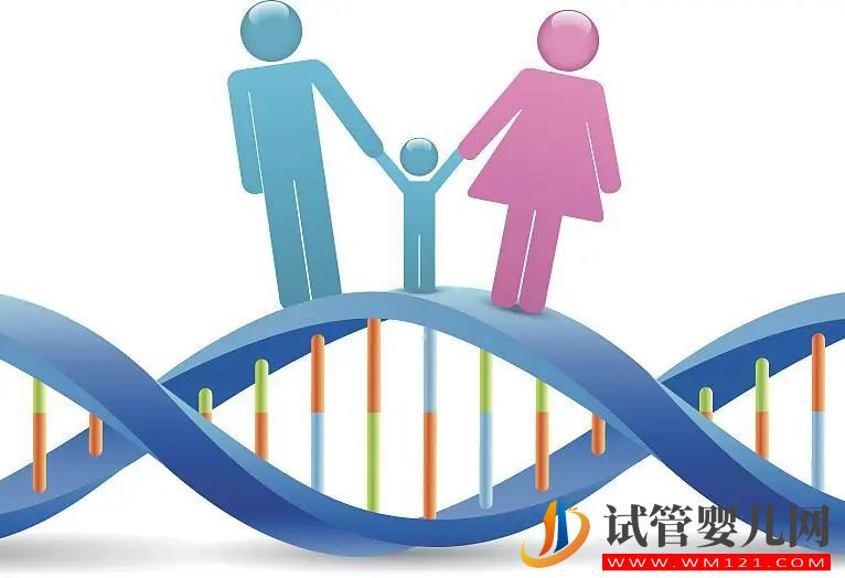 為什么三代試管(PGT)只移植一枚胚胎(圖1)