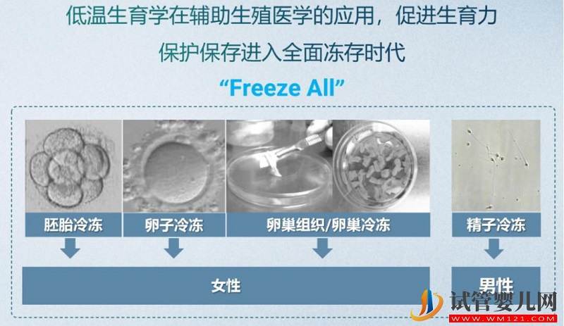 試管嬰兒技術走到了哪一步？專家解答→(圖5)