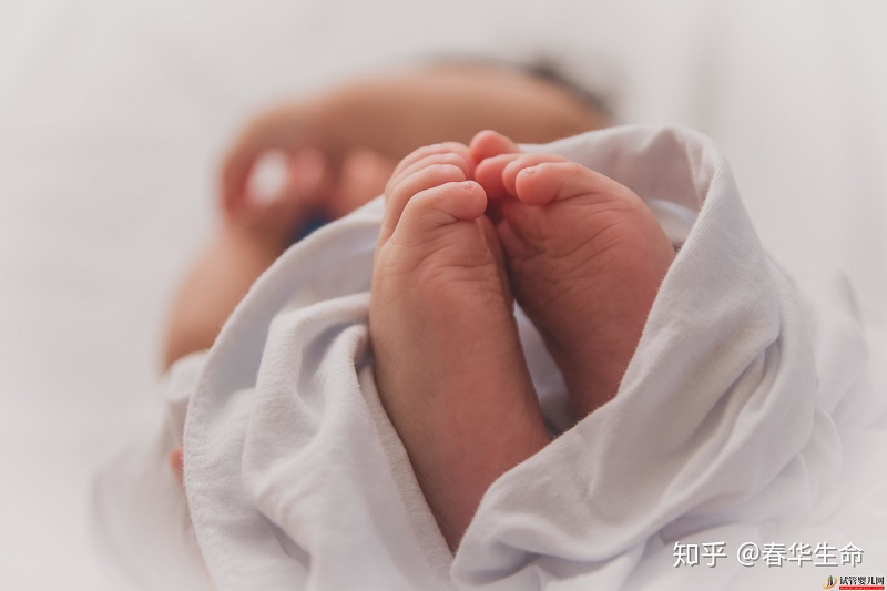 45歲以上女性做試管嬰兒成功率是多少(圖2) 昆明45歲以上女性做試管嬰兒成功率是多少(圖1)