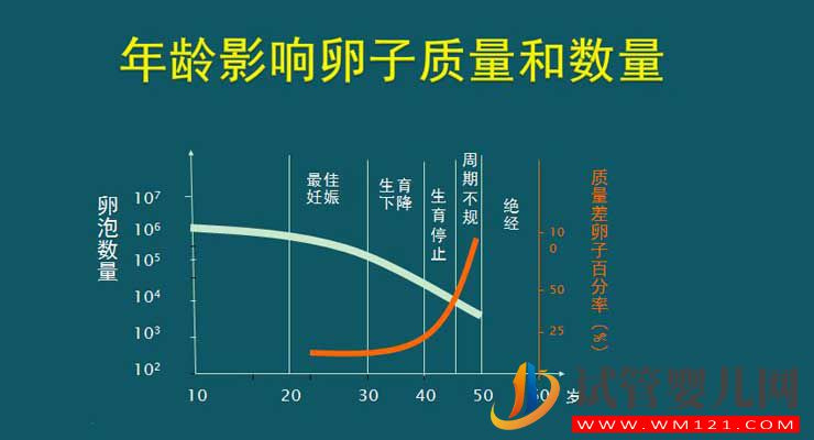 35歲試管嬰兒的成功率有多少？(圖2)