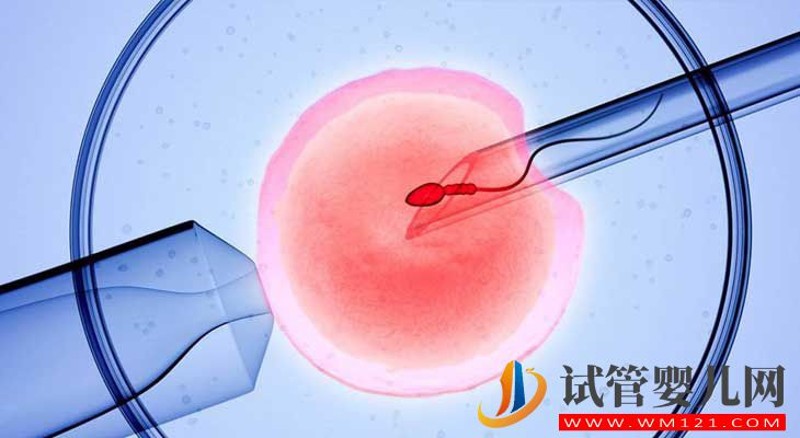 35歲試管嬰兒的成功率有多少？(圖3)