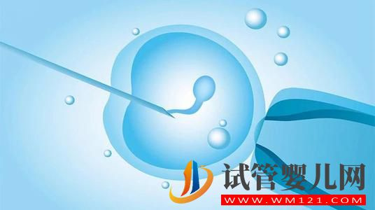 試管嬰兒與人工受精的區(qū)別 人工受精的成功率(圖1) 日喀則試管嬰兒與人工受精的區(qū)別 人工受精的成功率(圖1)