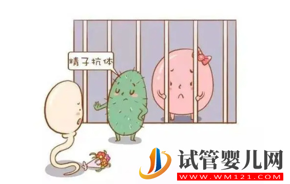抗精子抗體怎么檢查，可以懷孕嗎？(圖1)