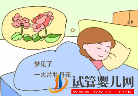 九個最準懷女孩胎夢，比B超還準嗎？(圖2)