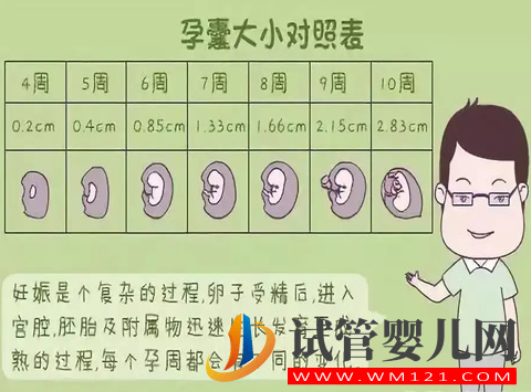 孕囊形狀看男女(超準(zhǔn))有科學(xué)依據(jù)嗎(圖2)