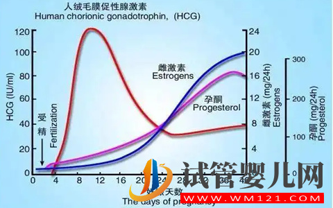 試管移植14天HCG值多少正常(圖2)