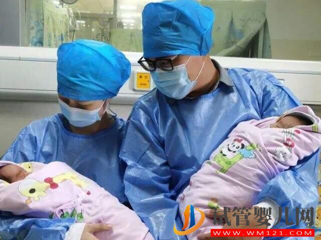 龍鳳胎基因主要是由男方?jīng)Q定還是女方?jīng)Q定？(圖1)
