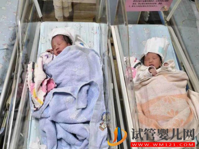為什么大多數龍鳳胎都是姐弟而不是兄妹？(圖1)
