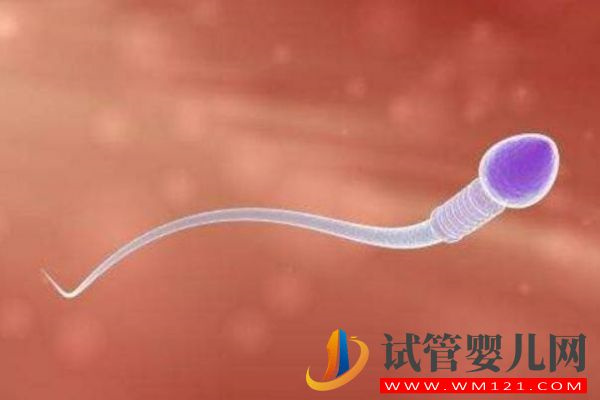 精子庫取精流程一覽，什么人捐的、怎么來的一看便知(圖3)