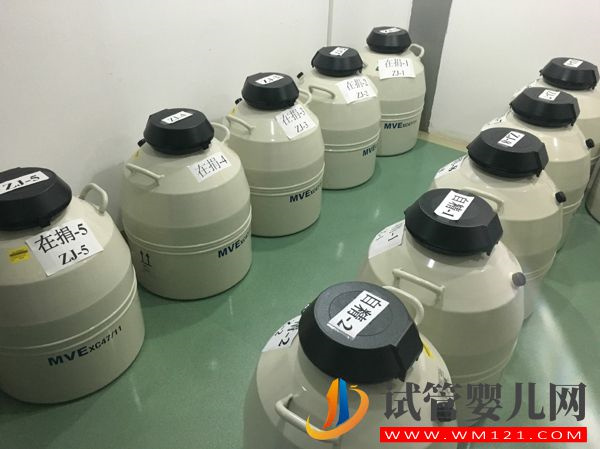 治療不育是精子庫作用之一，但想使用精子你得先申請(圖4)