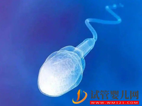 那些做供精生孩子的家庭最后都怎么樣了？(圖1)