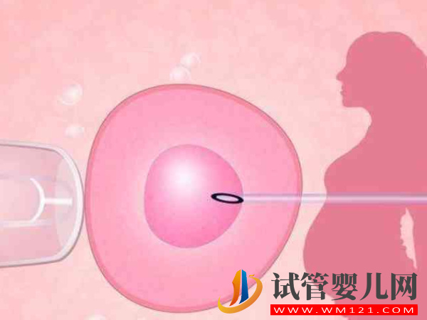 47歲絕經(jīng)女性做供卵試管嬰兒能成功嗎？(圖1)