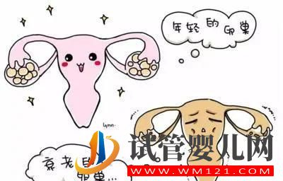 什么是卵巢早衰？哪些是卵巢早衰高危人群？(圖1)