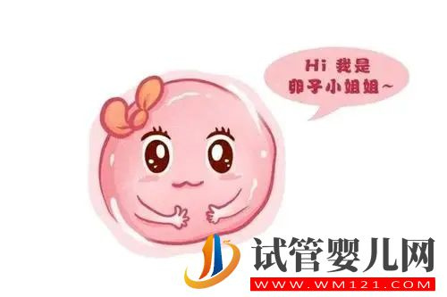 8個養(yǎng)卵秘方,祝你好孕!(圖1) 8個養(yǎng)卵秘方,祝你好孕!(圖1)