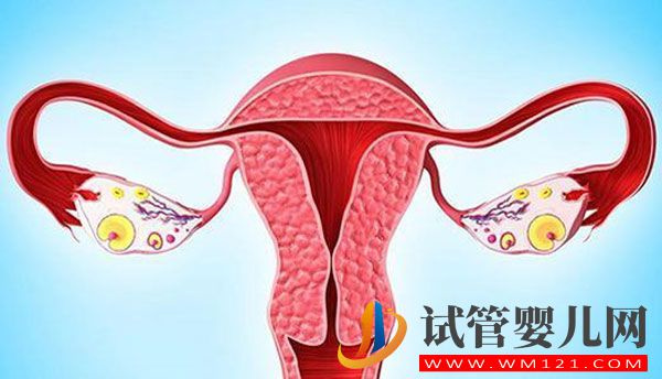 輸卵管阻塞怎么治療？輸卵管阻塞需要做試管嬰兒嗎？(圖1)