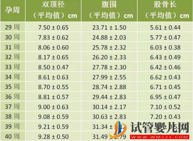 懷孕1-10月胎兒的發(fā)育標(biāo)準(zhǔn)及對(duì)照表，你知道嗎？(圖2)