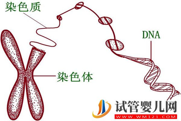 做試管反復(fù)種植失敗要選擇第三代試管嗎(圖2)