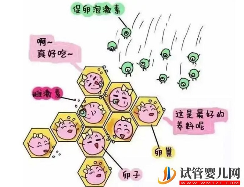 試管嬰兒全程無痛技術解救怕痛的你(圖1) 試管嬰兒全程無痛技術解救怕痛的你(圖1)