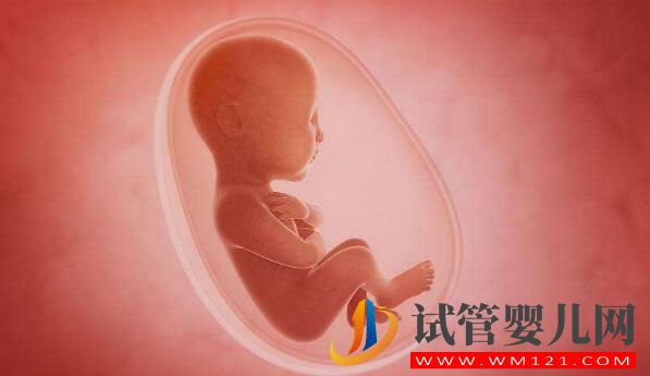 人工授精和試管嬰兒詳細介紹及對比？(圖5)