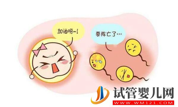 日喀則試管嬰兒移植后反應(yīng)有哪些？(圖1)