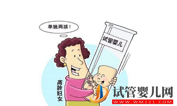高齡女性做試管嬰兒怎么改善卵子質量?(圖1) 高齡女性做試管嬰兒怎么改善卵子質量?(圖1)