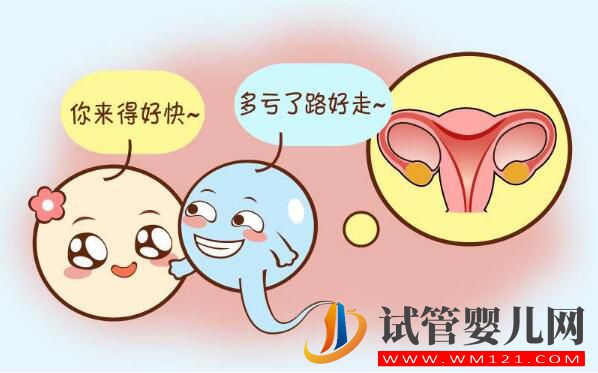 子宮內膜薄可以做試管嬰兒嗎?(圖3) 子宮內膜薄可以做試管嬰兒嗎?(圖3)