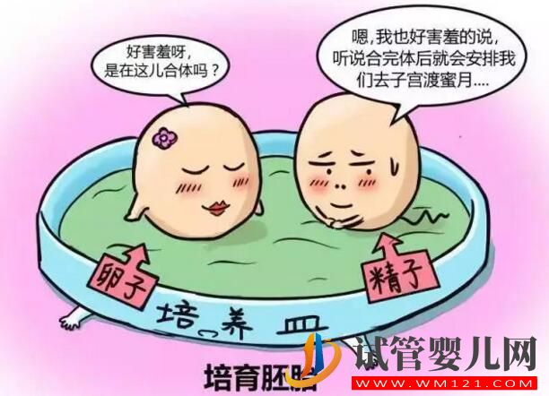 人工授精和試管嬰兒的區別及手術費用是多少?(圖3) 和田人工授精和試管嬰兒的區別及手術費用是多少?(圖3)
