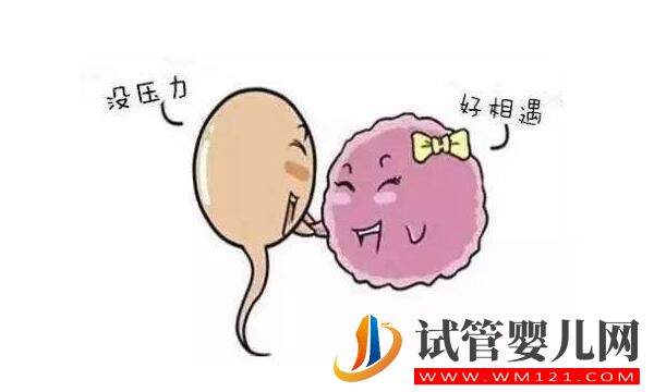 做試管嬰兒前需要怎么調理身體？(圖1)