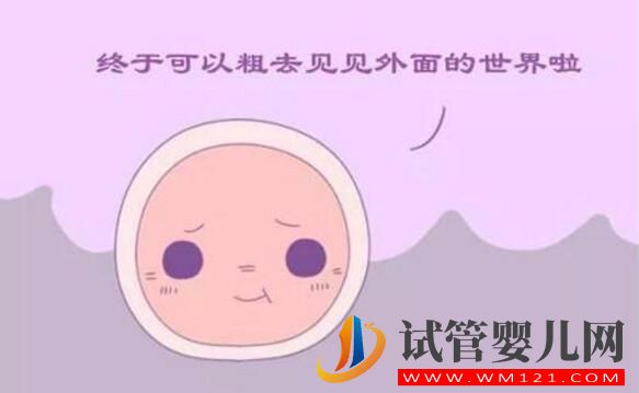 試管卵子質量不好怎么辦?(圖2) 試管卵子質量不好怎么辦?(圖2)